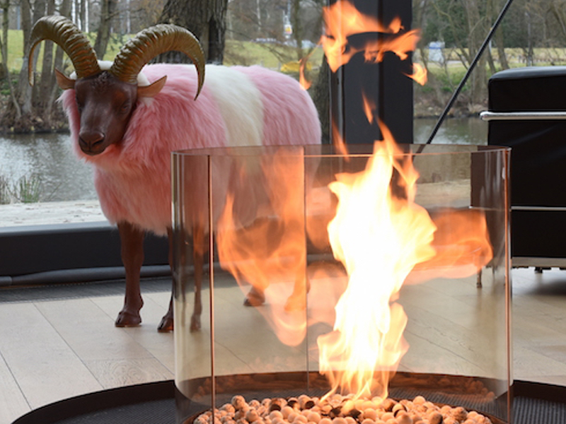 JGS Mouflon finished in Pink